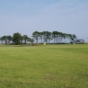 Looking across Lot 20 to the pond