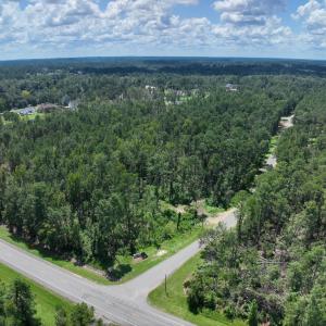 Plantation fury (20)