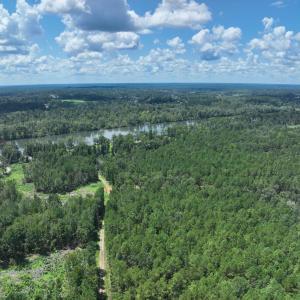 Plantation fury (26)