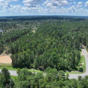 Plantation fury (19)