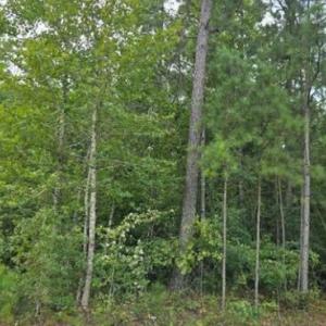 Screenshot 2025-08-19 091713