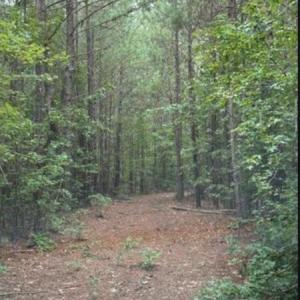 Screenshot 2025-08-19 091723