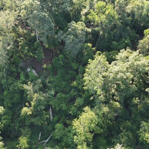 DJI_20250722103348_0263_D