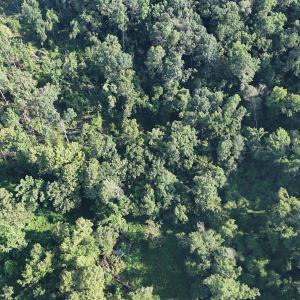 DJI_20250722103028_0249_D