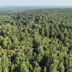 DJI_20250722103239_0257_D