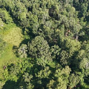 DJI_20250722102943_0246_D