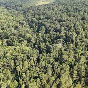 DJI_20250722103217_0256_D