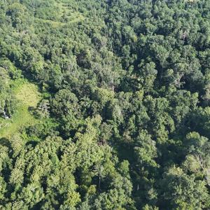 DJI_20250722103057_0252_D