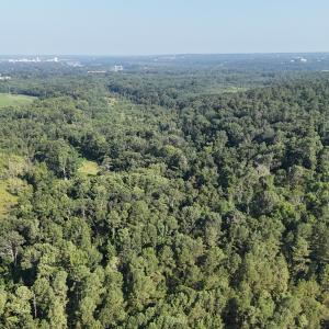 DJI_20250722102853_0244_D