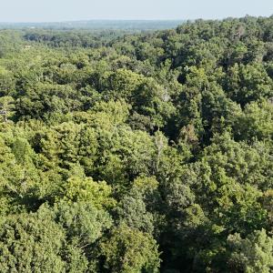 DJI_20250722103327_0260_D