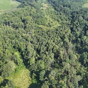 DJI_20250722103004_0248_D