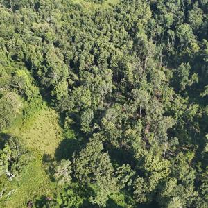 DJI_20250722102959_0247_D