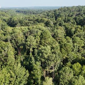 DJI_20250722103307_0258_D