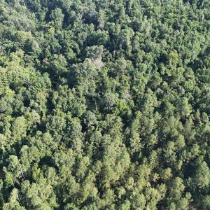 DJI_20250722103149_0255_D