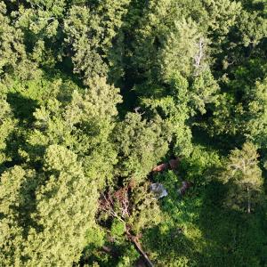 DJI_20250722103344_0262_D