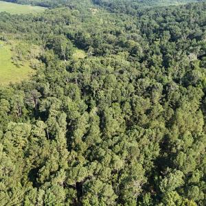 DJI_20250722102809_0243_D