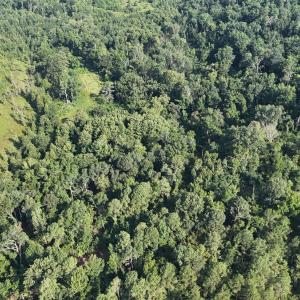 DJI_20250722103113_0253_D