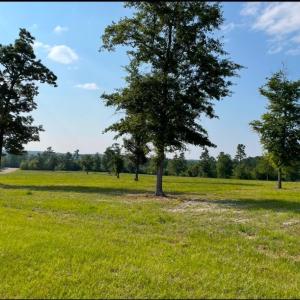 20250908004220430900000000-o