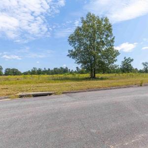 20250908123335907962000000-o