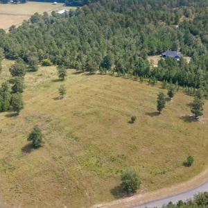 20250908123209149777000000-o