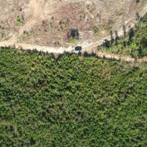 dji_fly_20251009_153018_726_176003847597