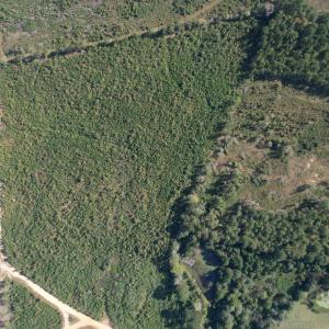 dji_fly_20251009_152704_720_176005345843