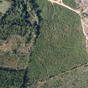 dji_fly_20251009_152802_723_176005342269