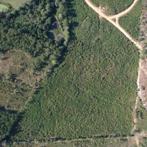 dji_fly_20251009_152722_721_176005344846