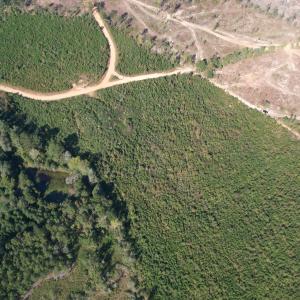 dji_fly_20251009_152930_725_176003848553