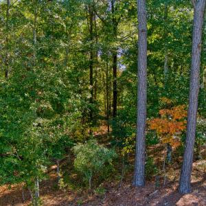 10_max_0360_hdr