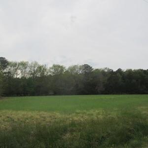 Photo #3 of 5205 SALTWORKS RD, EXMORE, VA 1.6 acres