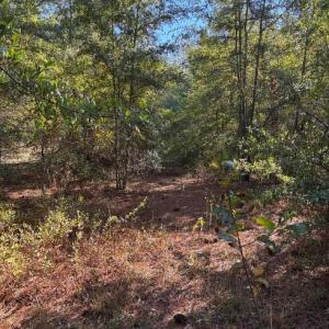 Screenshot 2025-10-20 105224