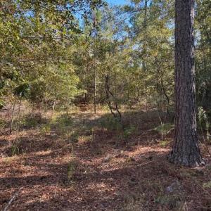 Screenshot 2025-10-20 105205