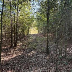 Screenshot 2025-10-20 105431