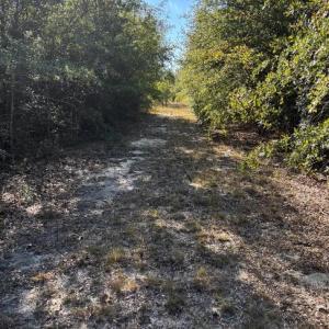 Screenshot 2025-10-20 105116