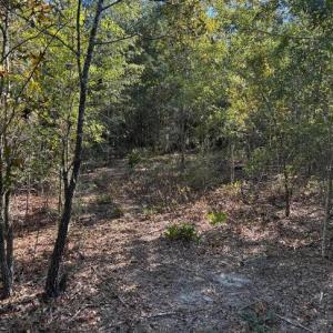 Screenshot 2025-10-20 105319