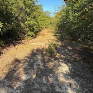 Screenshot 2025-10-20 105132