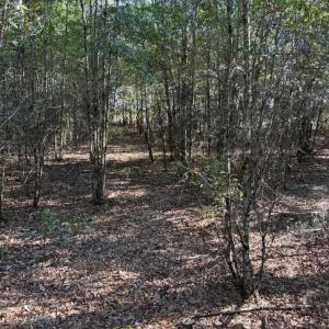 Screenshot 2025-10-20 105143