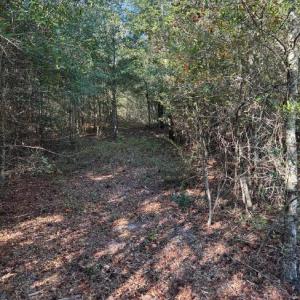 Screenshot 2025-10-20 105044