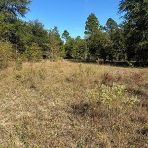 Screenshot 2025-10-20 105302