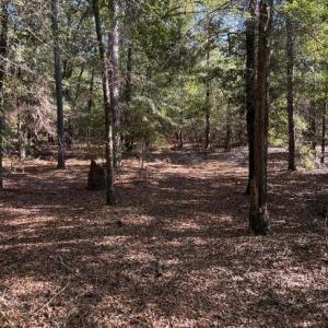 Screenshot 2025-10-20 105356