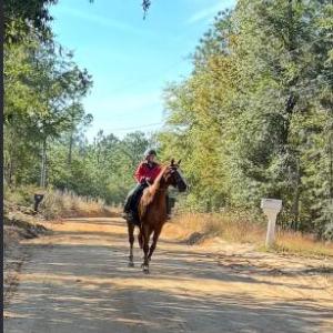 Screenshot 2025-10-20 105409