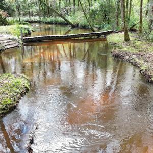 DJI_20250928114815_0402_D