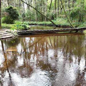 DJI_20250928114958_0405_D