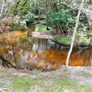 DJI_20250928122910_0432_D