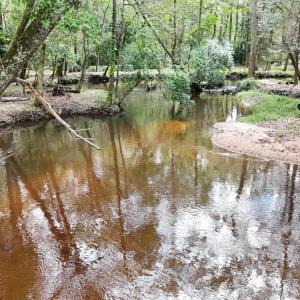 DJI_20250928114354_0398_D