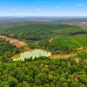 dji_20251029144844_0062_d