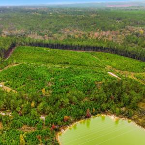 dji_20251029144927_0071_d