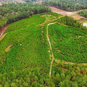 dji_20251029145040_0080_d