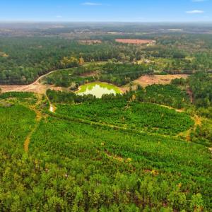 dji_20251029145130_0089_d